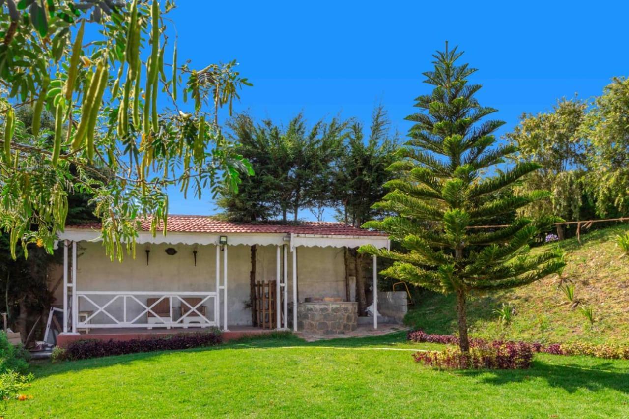 Pine View Stay Ooty Bagian luar foto